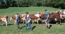 La ferme des Bertrand 