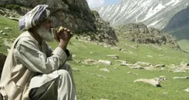 Shepherd of the Paradise (Pastores del Paraíso)