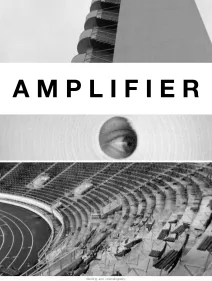 Amplifier / Amplificador