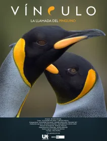 Vínculo, la llamada del pingüino